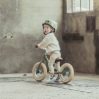 Balance bike - two wheels  - icon_3